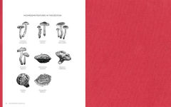 Alternative view 2 of The Mushroom Color Atlas: A Guide to Dyes and Pigments Made from Fungi