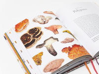 Alternative view 10 of The Mushroom Color Atlas: A Guide to Dyes and Pigments Made from Fungi