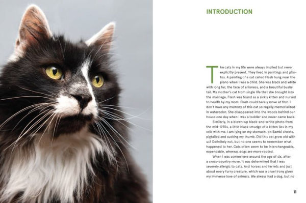 Rescue Cats: Portraits and Stories