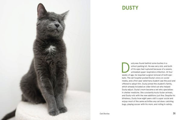 Rescue Cats: Portraits and Stories