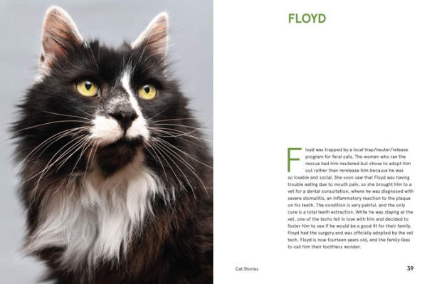 Rescue Cats: Portraits and Stories
