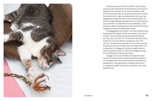 Rescue Cats: Portraits and Stories