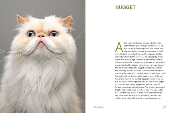 Rescue Cats: Portraits and Stories