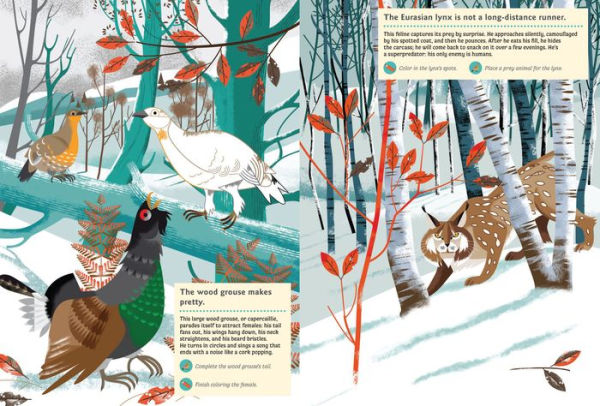 Animals of the Mountains: My Nature Sticker Activity Book