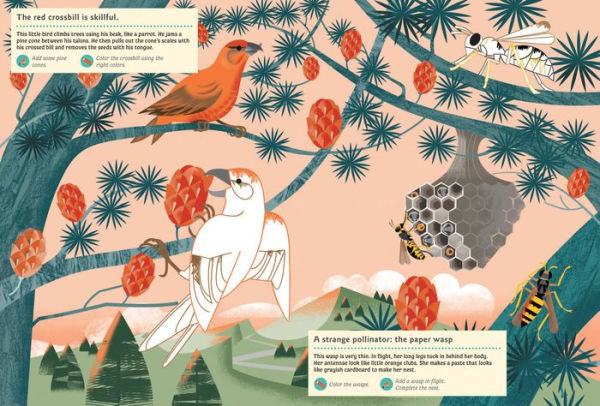 Animals of the Mountains: My Nature Sticker Activity Book