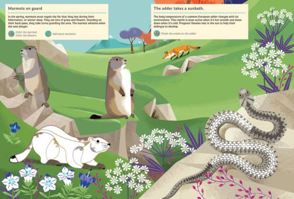 Animals of the Mountains: My Nature Sticker Activity Book
