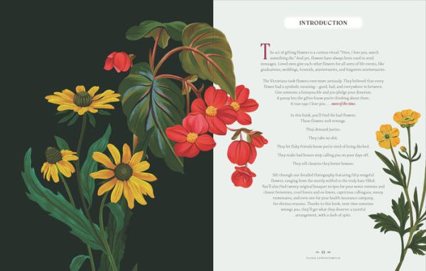 Floral Estrangements: Taunt Your Rivals & Vanquish Enemies through the Language of Flowers