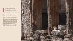 Alternative view 4 of Cats of Rome