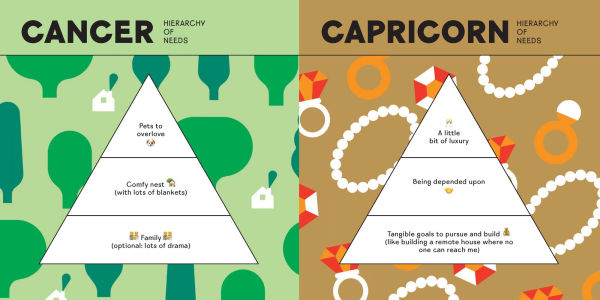 Astrolographs: How the Zodiac Signs Behave (and Misbehave) Love, Work, Leisure, and Beyond, 112 Humorous Charts