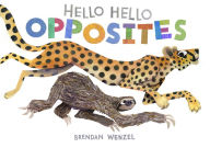 Title: Hello Hello Opposites, Author: Brendan Wenzel