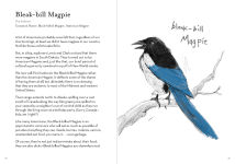 Alternative view 7 of A Dumb Birds Field Guide to the Worst Birds Ever