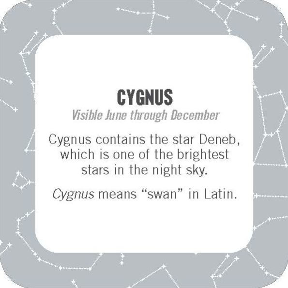 On-the-Go Amusements: 50 Constellations for Stargazing