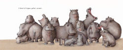 Alternative view 5 of A Sleuth of Bears and Other Amusing, Beguiling, and Peculiar Collective Nouns