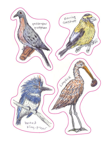 The Field Guide to Dumb Birds Sticker Book: 100+ Stickers of the Dumbest Birds