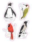 Alternative view 6 of The Field Guide to Dumb Birds Sticker Book: 100+ Stickers of the Dumbest Birds