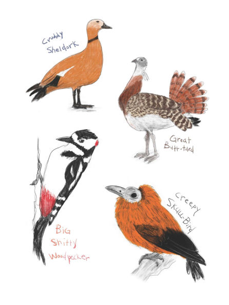 The Field Guide to Dumb Birds Sticker Book: 100+ Stickers of the Dumbest Birds