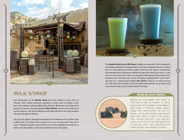 Star Wars: Galaxy's Edge: Traveler's Guide to Batuu