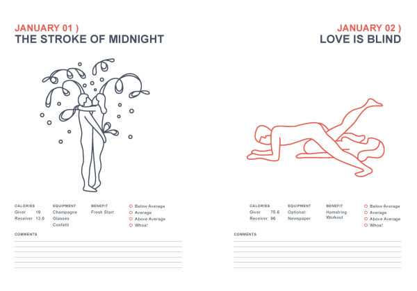 Position of the Day Playbook Revised and Updated: Sex Every Day in Every Way