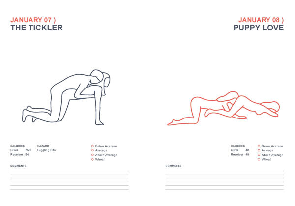 Position of the Day Playbook Revised and Updated: Sex Every Day in Every Way