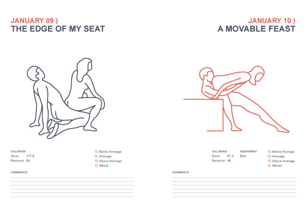 Position of the Day Playbook Revised and Updated: Sex Every Day in Every Way