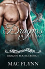 Dragons of the Bay: Dragon Bound #1
