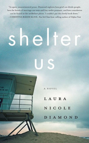 Shelter Us: A Novel