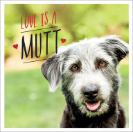 Title: Love is a Mutt: A Dog-Tastic Celebration of the World's Cutest Mixed and Cross Breeds, Author: Charlie Ellis