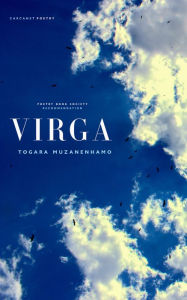 Title: Virga, Author: Togara Muzanenhamo