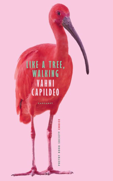 Like a Tree, Walking