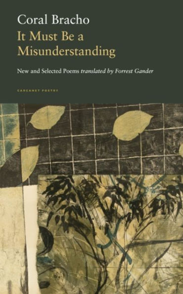 It Must Be a Misunderstanding: New and Selected Poems