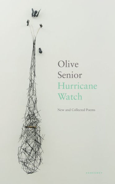 Hurricane Watch: New and Collected Poems