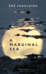 Title: A Marginal Sea, Author: Zoï Skoulding