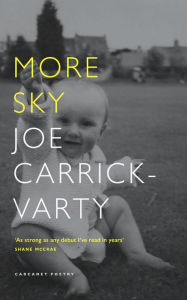 Title: More Sky, Author: Joe Carrick-Varty