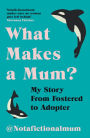What Makes a Mum?: My Story From Fostered to Adopter