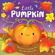 Title: Nature Stories: Little Pumpkin-Discover an Amazing Story from the Natural World: Padded Board Book, Author: IglooBooks