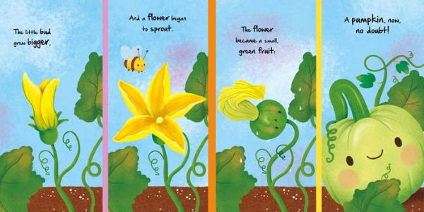 Nature Stories: Little Pumpkin-Discover an Amazing Story from the Natural World: Padded Board Book