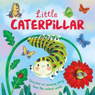 Title: Nature Stories: Little Caterpillar: Padded Board Book, Author: IglooBooks