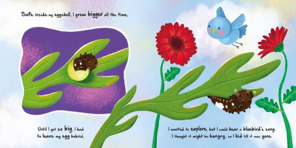 Nature Stories: Little Caterpillar: Padded Board Book