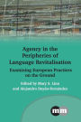 Agency in the Peripheries of Language Revitalisation: Examining European Practices on the Ground