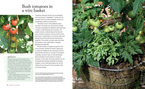 Grow Your Own Food: 35 ways to grow vegetables, fruits, and herbs in containers