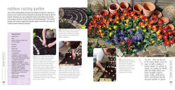 Alternative view 2 of Gardening for Kids: 35 nature activities to sow, grow, and make