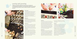 Alternative view 5 of Gardening for Kids: 35 nature activities to sow, grow, and make