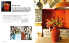 Alternative view 4 of A Pop of Color: Inspiring ideas to bring color into your home