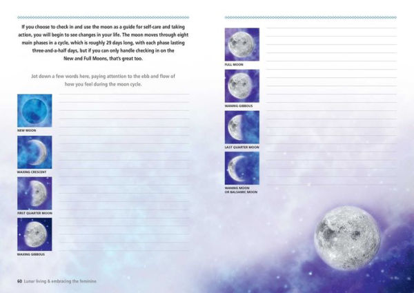 Barnes and Noble Moon and Celestial Star Journal: Everyday Journal