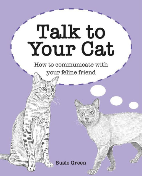 Talk to your Cat: How communicate with feline friend