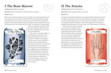 Alternative view 10 of The Body Tarot: Includes 72 cards and a 64-page illustrated guidebook