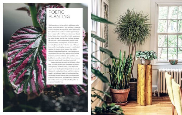 Living Wild: How to plant style your home and cultivate happiness