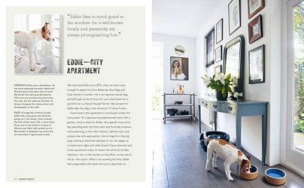 Cool Dogs, Cool Homes: Living in style with your pet pooch