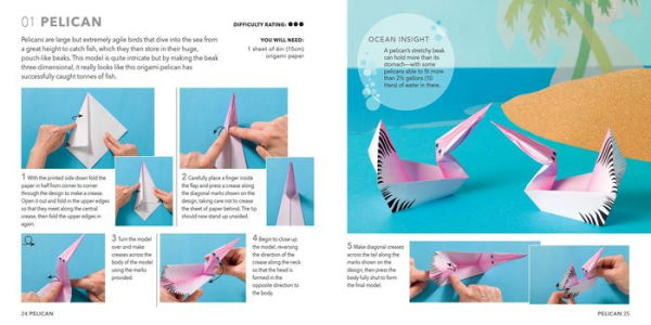 Origami Butterflies, Birds & Bees: Paper block plus 64-page book