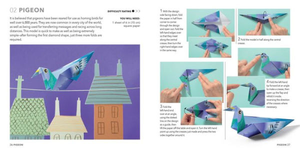 Origami Butterflies, Birds & Bees: Paper block plus 64-page book